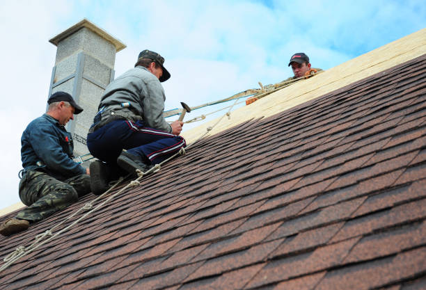 Professional Roofing Contractor in Emory, VA